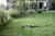 Kärcher OS 5.320 SV Oscillerende tuinsprinkler Zwart, Geel