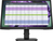 HP P22 G4 pantalla para PC 54,6 cm (21.5") 1920 x 1080 Pixeles Full HD Negro