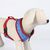 Harnais pour Chien DC Pets
