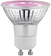 Paulmann LED növény lámpa, növekedés PAULMANN 230 V GU10 3.5 W Borostyán 1 db