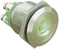 Vandálbiztos nyomógomb világítással, zöld, 24V/DC, 50mA, Bulgin MPI001/TERM/GN