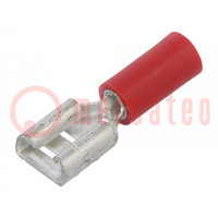 Terminal: flat; 6.3mm; 0.8mm; female; 0.5÷1.5mm2; crimped; red