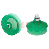 Suction cup; 50mm; G1/4 AG; Shore hardness: 65; 30.181cm3; SPB1