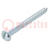 Screw; for wood; 5x50; Head: button; slotted; 1,2mm; steel; zinc