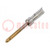 Contact; male; 20; gold-plated; 0.9mm2; HDP-20; soldering