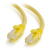 C2G 1.5 m Cat6 UTP LSZH Network Patch Cable - Yellow