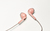 JVC HA-F19M-PT Kopfhörer Kabelgebunden im Ohr Anrufe/Musik Grau, Pink