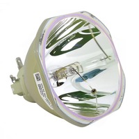 DUKANE ImagePro 9008HD-WT Originele Losse Lamp