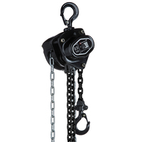 Delta DB.0.06400510 Handkettingtakel - 0.5 ton - 10 meter