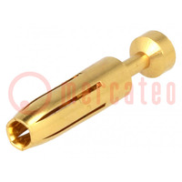 Contact; female; copper alloy; gold-plated; 0.14÷0.37mm2; crimped