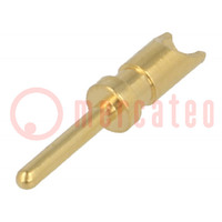 Contact; male; copper alloy; gold-plated; 24AWG÷20AWG; soldering