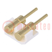 Connector: PCB to PCB; PIN: 2; gold-plated; SMT; male; on PCBs