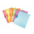 Klemmmappe ColorClip Rainbow, A4, PP, sortiert