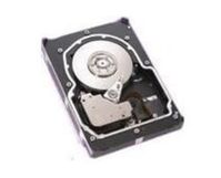 40GB 5400RPM 3.5" IDE HD **Refurbished** Festplatten