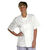 CHEFS SHORT SLEEVE JACKET WHITE L