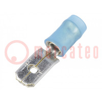 Terminal: flat; 6.3mm; 0.8mm; male; 1÷2.5mm2; crimped; for cable