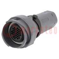 Connector: circular; plug; female; PIN: 32; w/o contacts; for cable