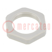 Dado; Filettatura: metrico; poliamide; PMAFIX MN; -40÷105°C; 50mm