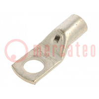 Terminal: anillo tubular; M10; 35mm2; crimpados; para conducto