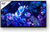 Sony FWD-48A90K pantalla de señalización 121,9 cm (48") OLED Wifi 4K Ultra HD Negro Android 10