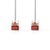 Nedis CCGP85221WT025 cable de red Blanco 0,25 m Cat6 S/FTP (S-STP)
