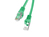 Lanberg PCF6-10CC-0025-G kabel sieciowy Zielony 0,25 m Cat6 F/UTP (FTP)