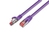 Wirewin S/FTP CAT6 25m Netzwerkkabel Violett