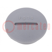 Tappo; PG16; poliamide; grigio scuro; Filettatura: PG; 6mm; 10pz.