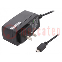 Power supply: switched-mode; mains,plug; 5VDC; 2A; 10W; straight