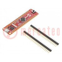 Dev.kit: Microchip ARM; Components: SAMD21G17D; SAMD