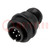 Connector: circular; plug; for cable; PIN: 5; male; soldering; 97