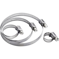 TRU COMPONENTS COLLIER DE SERRAGE À CRÉMAILLÈRE TC-10330724 PLAGE DE Ø DU FAISCEAU 8 À 12 MM À VIS SIX PANS AVEC FENTE ARGENT 1