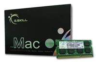 G.Skill 4GB DDR3-1066 SQ MAC memory module 1 x 4 GB 1066 MHz