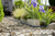 Gardena Liano tuinslang 30 m Bovengronds Polyvinyl chloride (PVC), Textiel Zwart, Grijs