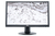 AOC 60 Series M2060PWDA2 LED display 49,6 cm (19.5") 1920 x 1080 pixelek Full HD Fekete