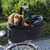 TRIXIE 13110 Tragevorrichtung für Tiere Fahrrad-Träger für Haustiere