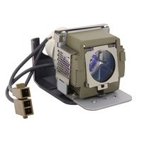 VIEWSONIC PJ503D Modulo lampada proiettore (lampadina compatibile all'interno)