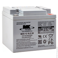 Batterie(s) Batterie plomb AGM M45-12SLD-M 12V 45Ah M6-F