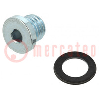 Protection cap; zinc plated steel; Thread: M7; Gasket: NBR rubber