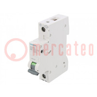 Circuit breaker; 230VAC; Inom: 25A; Poles: 1; Charact: B; 6kA; IP20