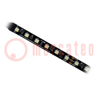 Ruban LED programmable; RGBW; 5050; 24V; LED/m: 60; 12mm; noir PCB