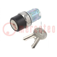 Switch: rotary with key; 22mm; Stabl.pos: 3; silver; none; IP67