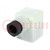 Connector: valve connector; plug; form A; 18mm; female; PIN: 3; M16