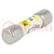 Fuse: fuse; time-lag; 10A; 500VAC; ceramic,cylindrical,industrial