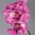 Artificial Silk Moth Orchid Flowers - 92cm, Teal
