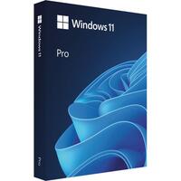 Windows Pro 11 64Bit FPP Deutsch USB