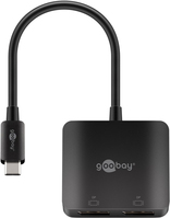 Goobay 60171 Adaptador gráfico USB Negro
