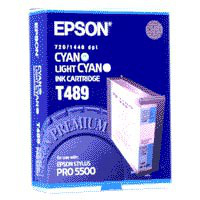 Epson Cartucho T489011 cian/cian claro