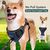 BLUZELLE Hundegeschirr Große Hunde, Reflektor Brustgeschirr mit Griff & Tasche für GPS Tracker, Anti-Zug Hundeweste Hund-Warnweste Atmungsaktiv, - L Blau