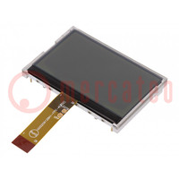 Display: LCD; grafico; 256x128; FSTN Positive; 80x54x6,5mm; 2,9"